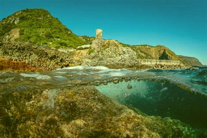 Escorts Torre di Ruggiero, Italy — Local Companions