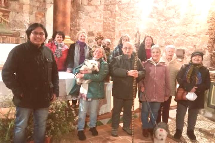 Escorts Torrijo de la Canada, Spain — Local Companions