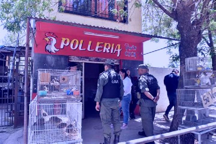Escorts Tortuguitas, Argentina — Local Companions