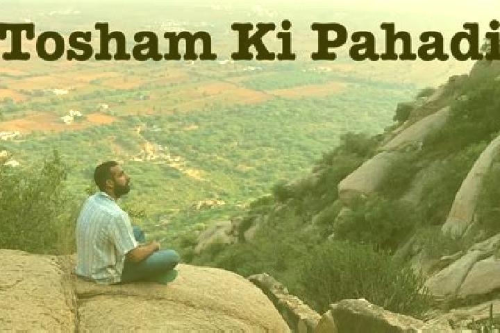 Escorts Tosham, India — Local Companions