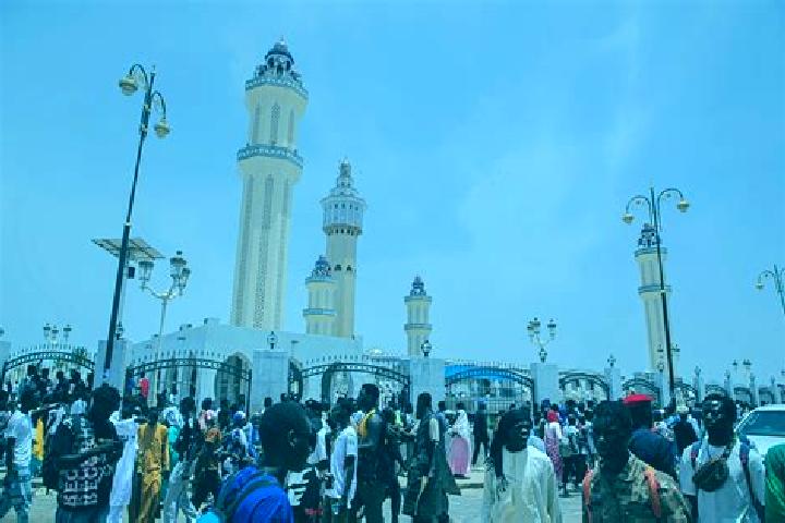 Escorts Touba, Senegal — Local Companions