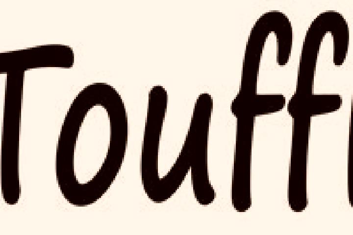 Escorts Toufflers, France — Local Companions