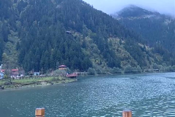 Escorts Trabzon, Turkey — Local Companions