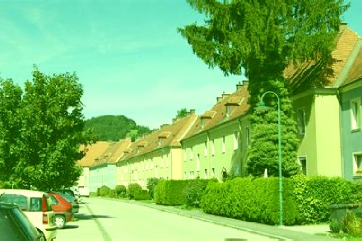 Escorts Traisen, Austria — Local Companions