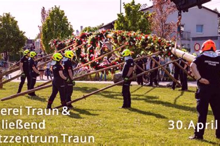 Escorts Traun, Austria — Local Companions