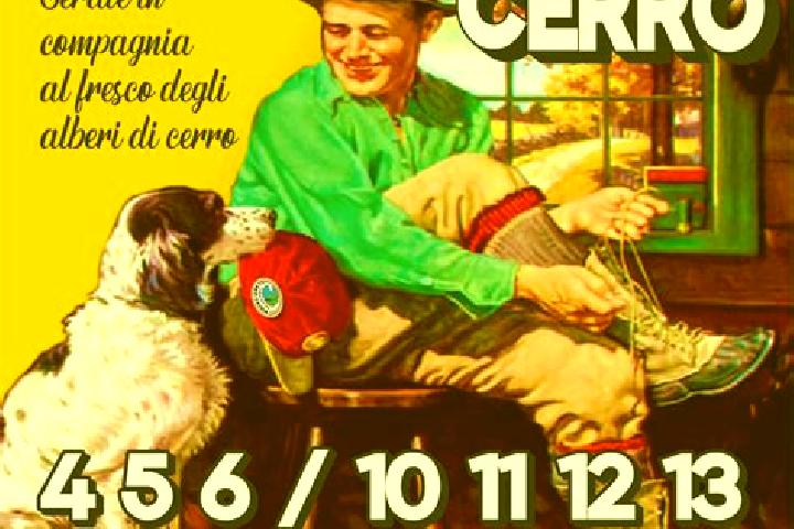Escorts Tre Berte, Italy — Local Companions