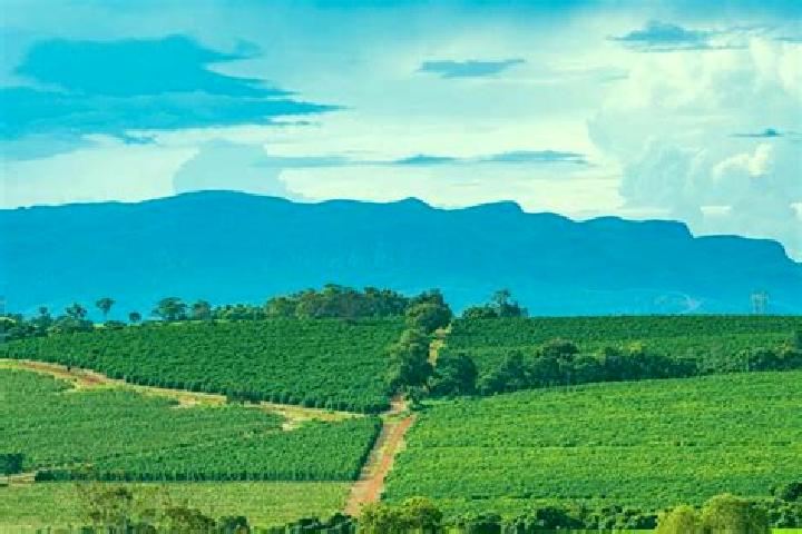 Escorts Tres Pontas, Brazil — Local Companions