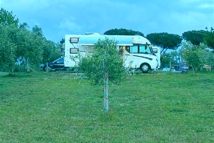 Escorts Trevignano, Italy — Local Companions
