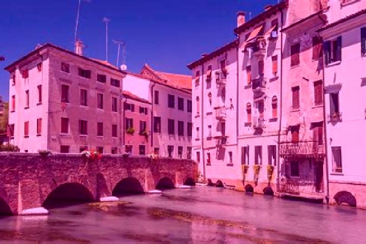 Escorts Treviso, Italy — Local Companions