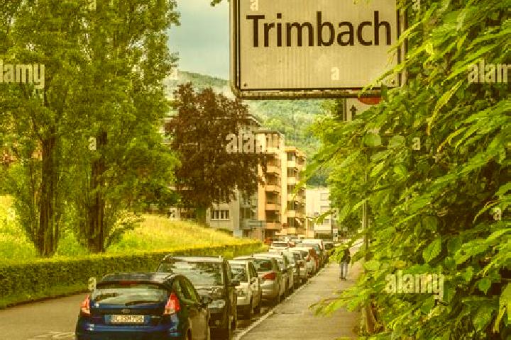 Escorts Trimbach, Switzerland — Local Companions