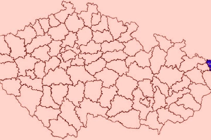 Escorts Trutnov, Czech Republic — Local Companions