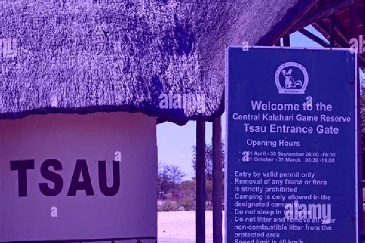 Escorts Tsau, Botswana — Local Companions