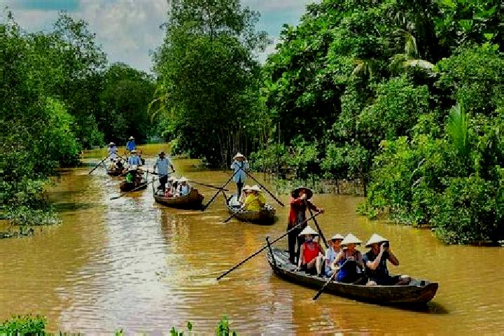 Escorts Tu Trung, Vietnam — Local Companions