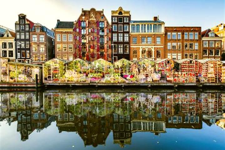 Escorts Tuitjenhorn, Netherlands — Local Companions