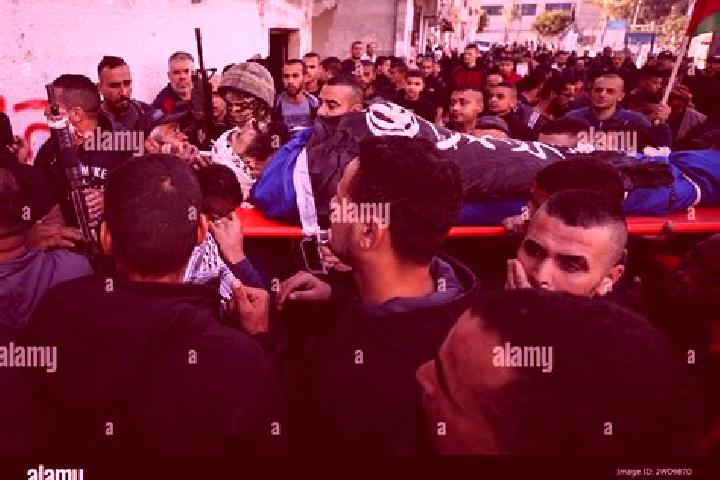 Escorts Tulkarm, Palestine — Local Companions