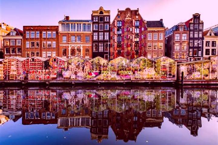 Escorts Tungelroy, Netherlands — Local Companions
