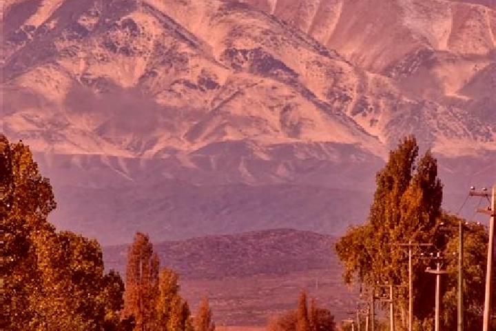 Escorts Tupungato, Argentina — Local Companions