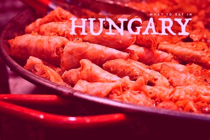Escorts Turje, Hungary — Local Companions