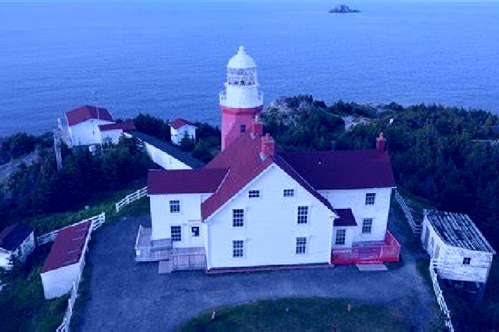 Escorts Twillingate, Canada — Local Companions