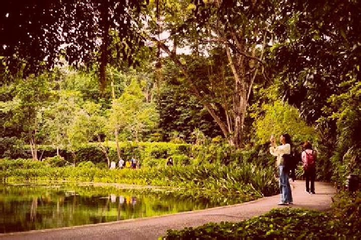 Escorts Tyersall Park, Singapore — Local Companions