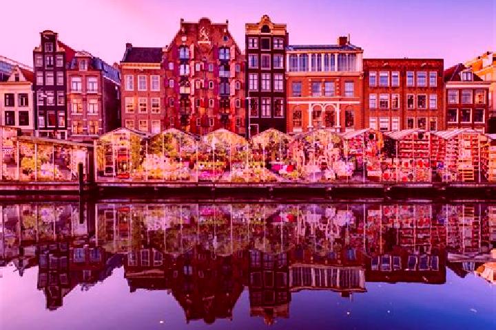 Escorts Tynaarlo, Netherlands — Local Companions