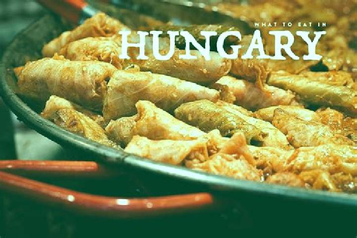 Escorts Tyukod, Hungary — Local Companions