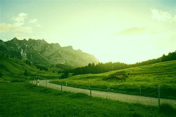 Escorts Uhwiesen, Switzerland — Local Companions