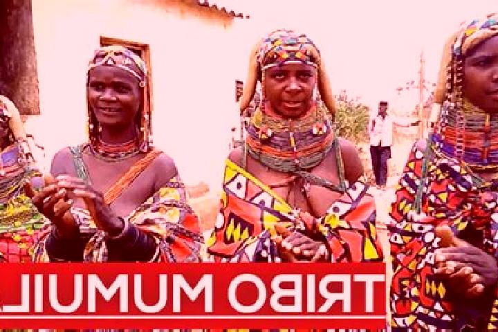 Escorts Umpulo, Angola — Local Companions