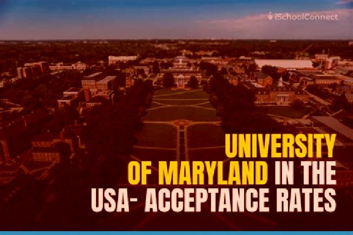 Escorts University Of Maryland, United States — Local Companions