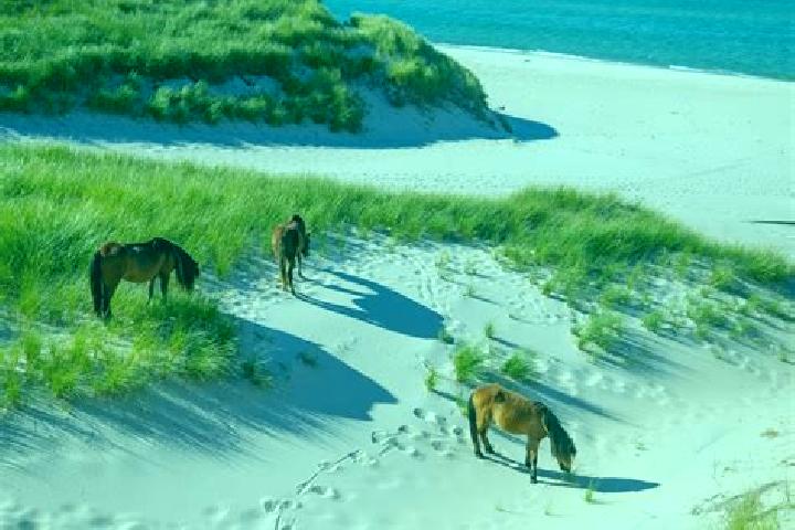 Escorts Upper Island Cove, Canada — Local Companions