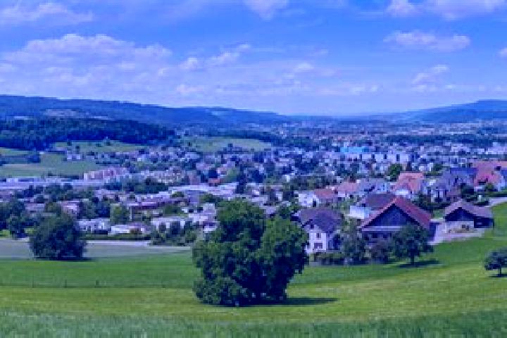Escorts Urdorf / Bodenfeld, Switzerland — Local Companions