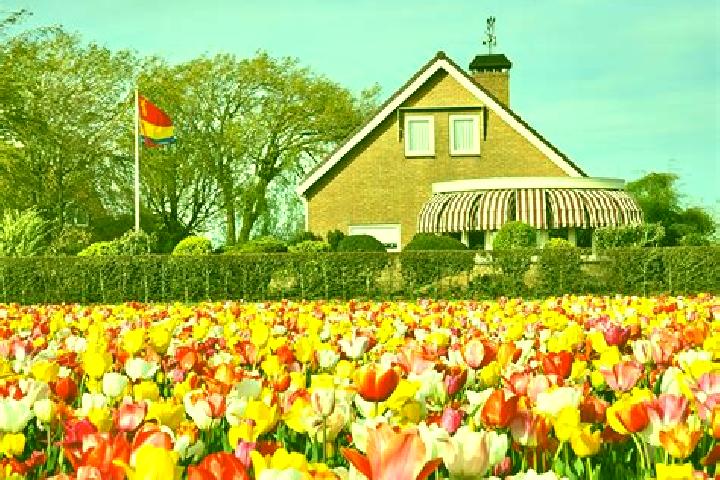 Escorts Urmond, Netherlands — Local Companions