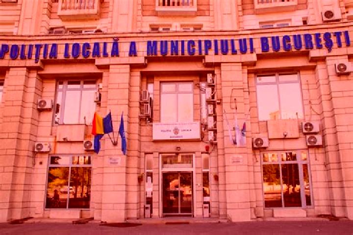 Escorts Urseiu, Romania — Local Companions