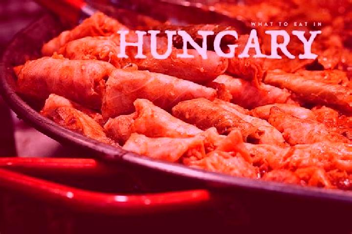 Escorts Uszod, Hungary — Local Companions