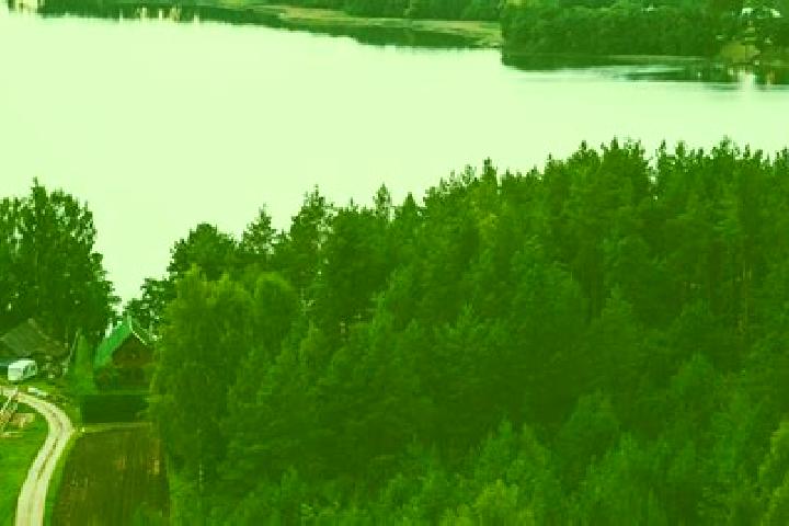 Escorts Utena, Lithuania — Local Companions
