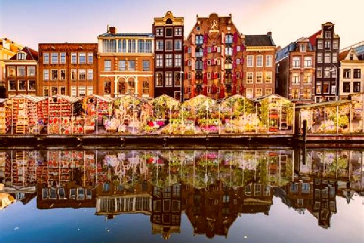 Escorts Utrecht, Netherlands — Local Companions