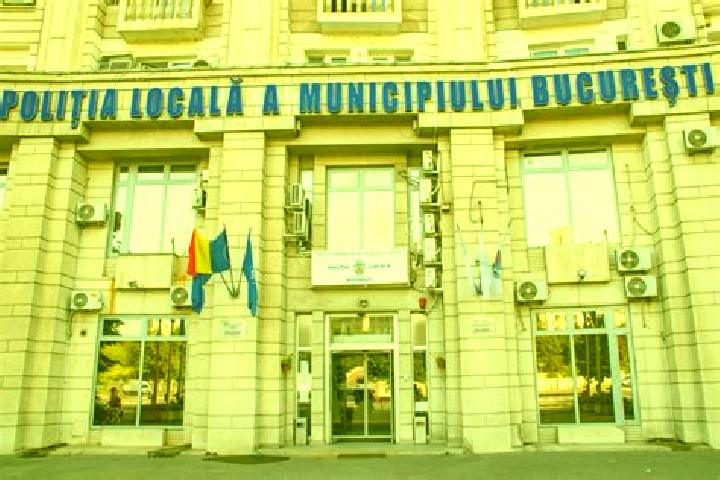 Escorts Vadu Parului, Romania — Local Companions