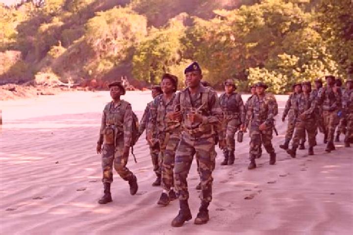 Escorts Vahibe, Mayotte — Local Companions