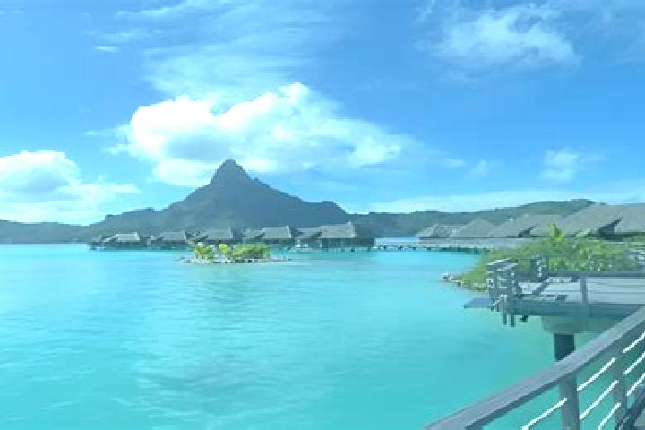 Escorts Vaiaau, French Polynesia — Local Companions