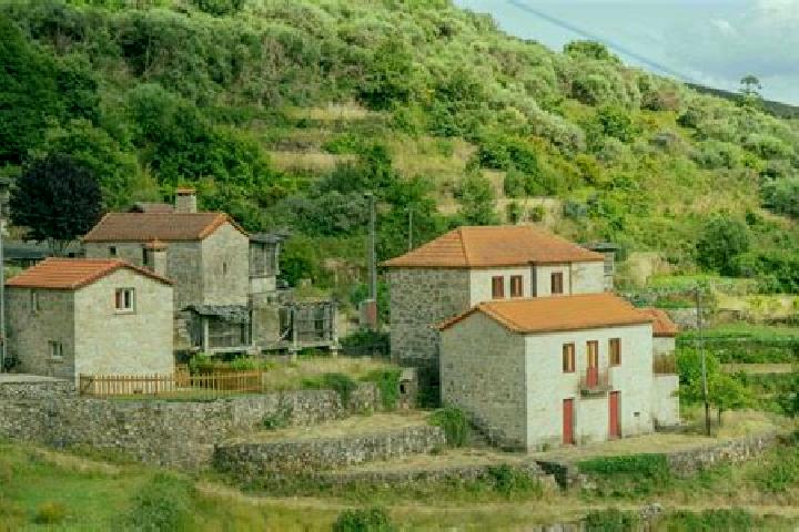 Escorts Vale de Cambra, Portugal — Local Companions