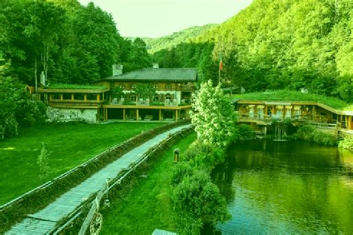 Escorts Valea Ierii, Romania — Local Companions
