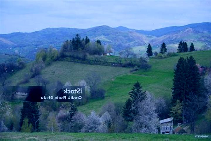 Escorts Valea Marului, Romania — Local Companions