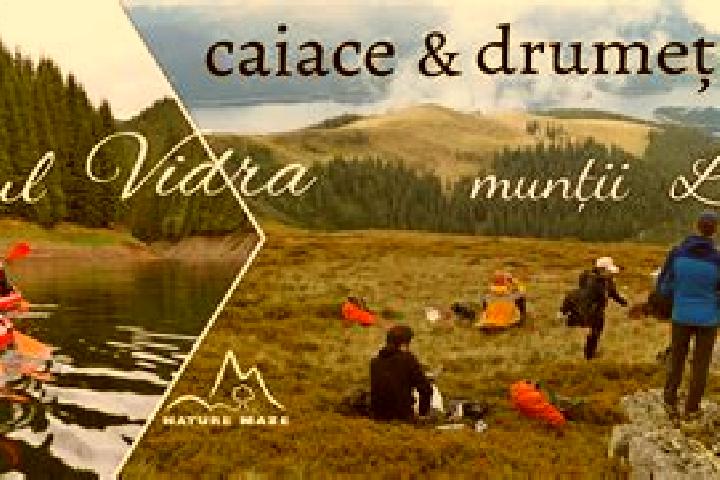 Escorts Valea Vintului, Romania — Local Companions