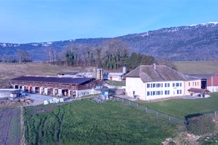 Escorts Valeyres-sous-Montagny, Switzerland — Local Companions
