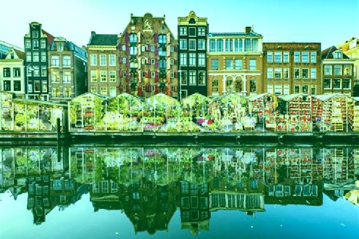 Escorts Valthermond, Netherlands — Local Companions