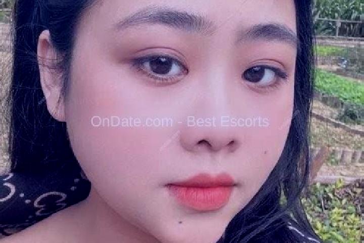 Escorts Van GJien, Vietnam — Local Companions