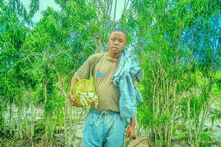 Escorts Vangaindrano, Madagascar — Local Companions