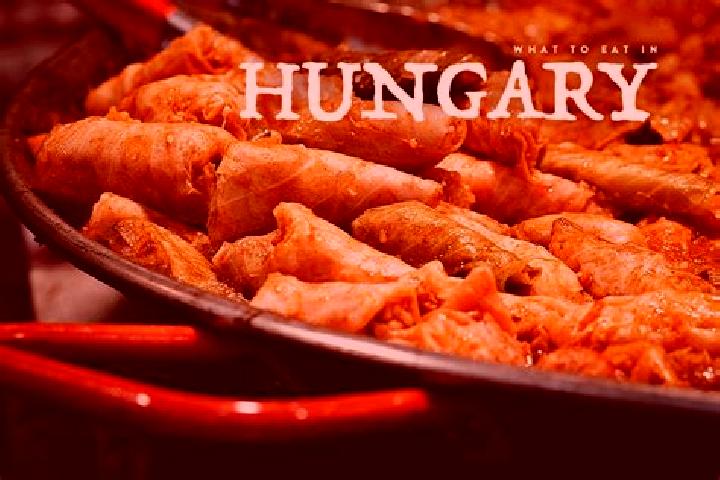 Escorts Varbo, Hungary — Local Companions