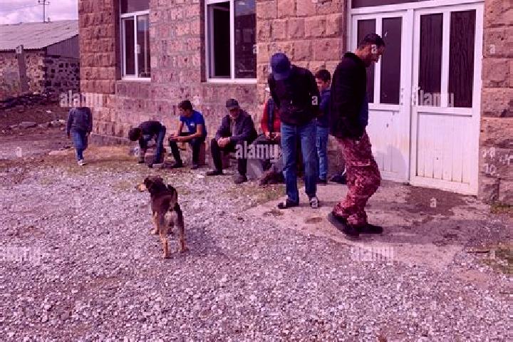 Escorts Vardenis, Armenia — Local Companions