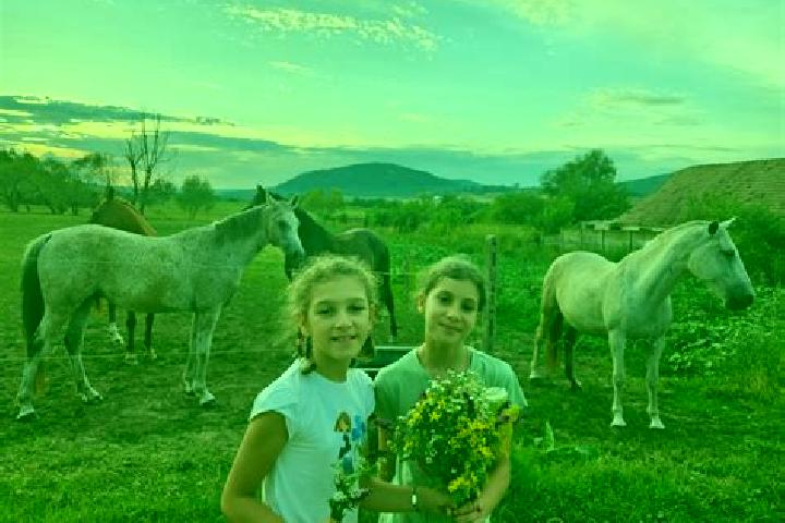 Escorts Vartoapele de Sus, Romania — Local Companions